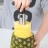 Stainless Steel Pineapple Slicer Corer & Peeler – Heavy-Duty Fruit Cutter Tool for Easy Slicing, Peeling & Paring – Kitchen Gadget for Home, Hotels, Restaurants & Food Service