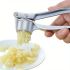 Heavy-Duty Garlic Press, Ginger Crusher & Lemon Squeezer – Manual Garlic Crusher Tool with Ergonomic Handle, Compact Design, Easy-Clean, Sturdy Build for Kitchen, Home & Restaurant Use
